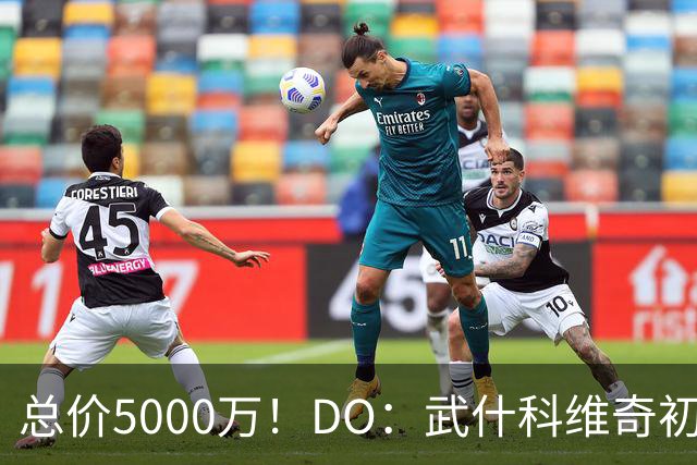 总价5000万！DO：武什科维奇初始转会费4600万镑，热刺有二转分成
