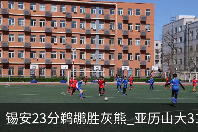 锡安23分鹈鹕胜灰熊 亚历山大31+10雷霆屠公牛